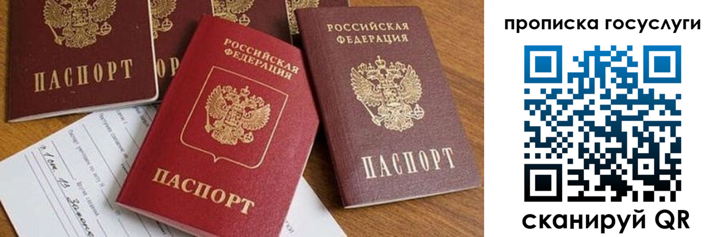 прописка в Солнечногорске